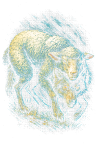 ARTES HALFTONE - STREET WEAR - ROCKET ULTRA PACK (11)